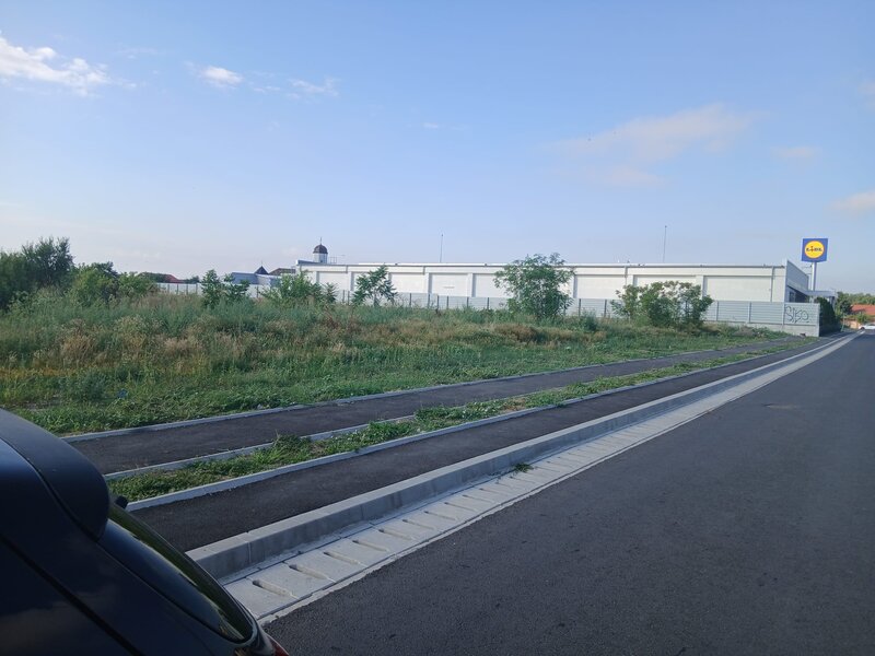 Domnesti, Lidl,