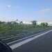 Domnesti, Lidl,